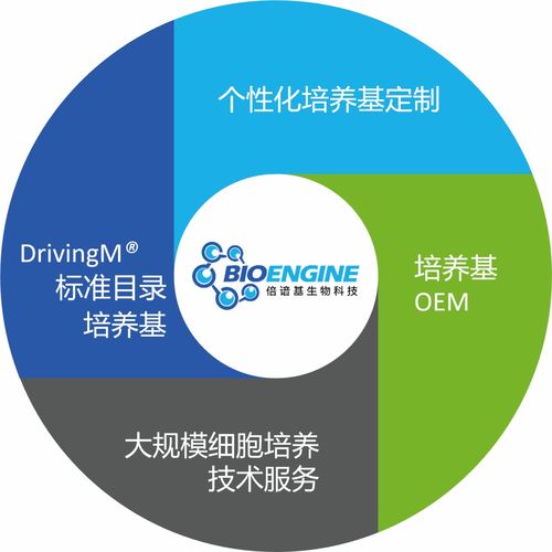 三十年匠心打造細(xì)胞培養(yǎng)新動力 寫意會員倍諳基生物的生物基材料技術(shù)研發(fā)