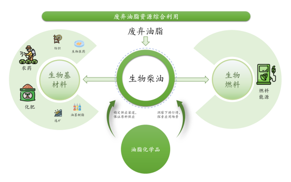 深耕廢棄油脂資源化 豐倍生物IPO獲問詢彰顯可持續(xù)發(fā)展新機(jī)遇